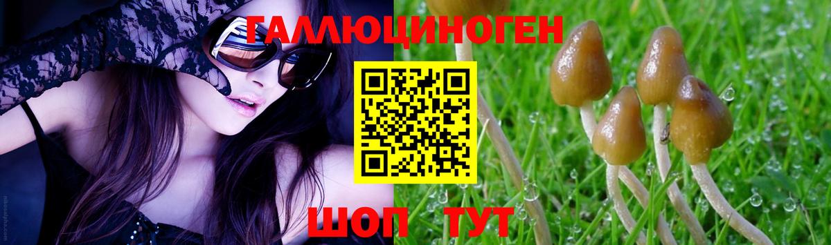 закладки  Галлюциногенные грибы мицелий  Вход с VPN  Балабаново 